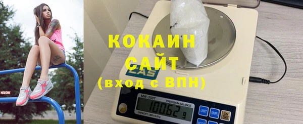 соль ск Белокуриха