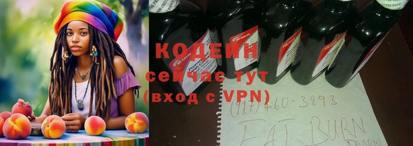 соль ск Белокуриха