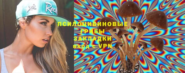 соль ск Белокуриха