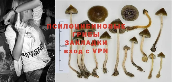 соль ск Белокуриха
